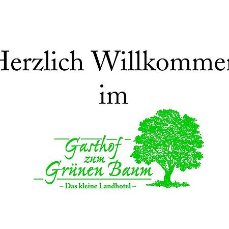 Landhotel Gruener Baum Westendorf  Экстерьер фото